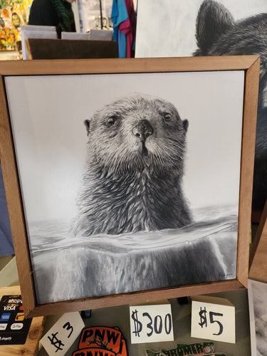 Sea Otter (Original)