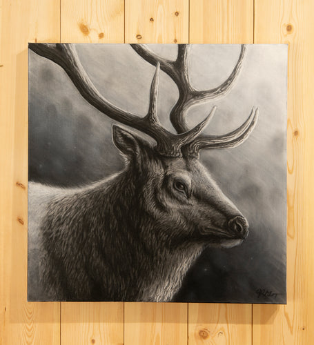 Roosevelt Elk (Original)