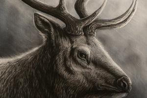 Roosevelt Elk (Original)