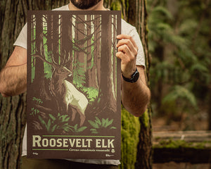 Roosevelt Elk